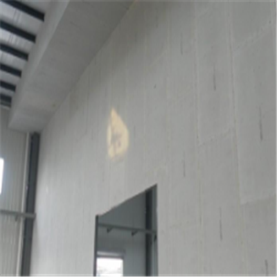 六枝特新型建筑材料掺多种工业废渣的ALC|ACC|FPS模块板材轻质隔墙板